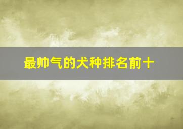 最帅气的犬种排名前十