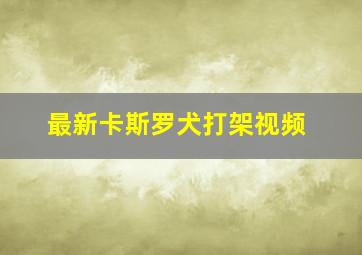 最新卡斯罗犬打架视频