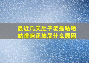 最近几天肚子老是咕噜咕噜响还放屁什么原因