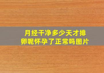 月经干净多少天才排卵呢怀孕了正常吗图片