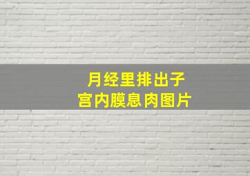 月经里排出子宫内膜息肉图片