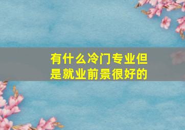 有什么冷门专业但是就业前景很好的