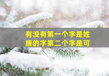 有没有第一个字是姓唐的字第二个字是可