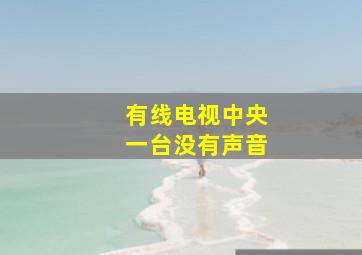 有线电视中央一台没有声音