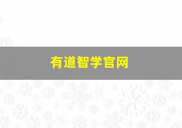 有道智学官网