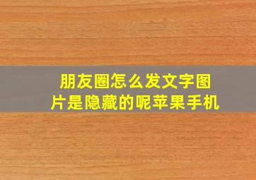 朋友圈怎么发文字图片是隐藏的呢苹果手机