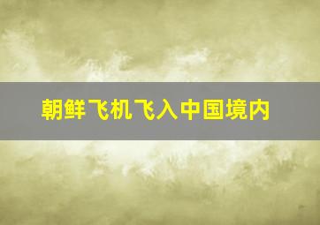 朝鲜飞机飞入中国境内