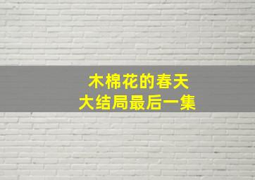 木棉花的春天大结局最后一集