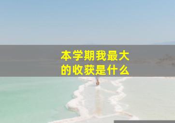 本学期我最大的收获是什么