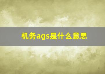 机务ags是什么意思