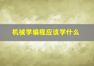 机械学编程应该学什么