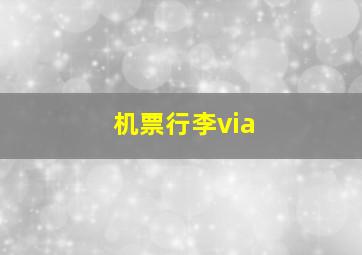 机票行李via