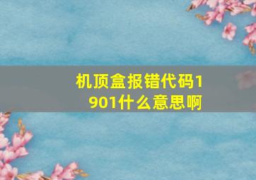 机顶盒报错代码1901什么意思啊