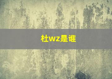 杜wz是谁