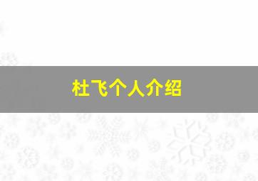 杜飞个人介绍