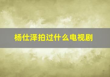 杨仕泽拍过什么电视剧