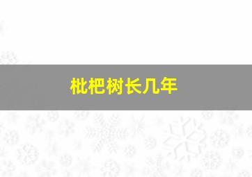 枇杷树长几年