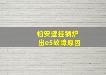 柏安壁挂锅炉出e5故障原因