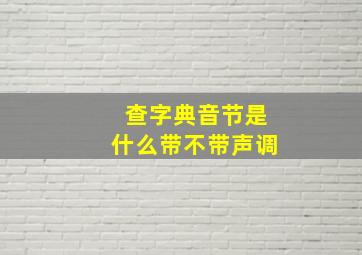 查字典音节是什么带不带声调