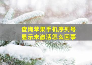 查询苹果手机序列号显示未激活怎么回事