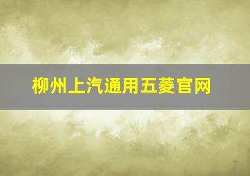 柳州上汽通用五菱官网