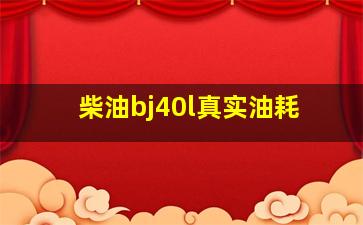 柴油bj40l真实油耗