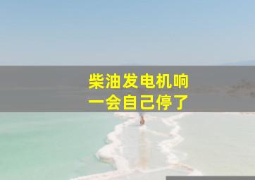 柴油发电机响一会自己停了