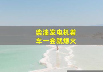 柴油发电机着车一会就熄火