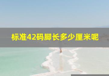 标准42码脚长多少厘米呢