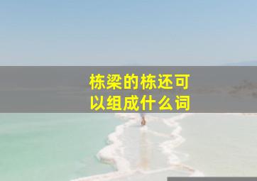 栋梁的栋还可以组成什么词