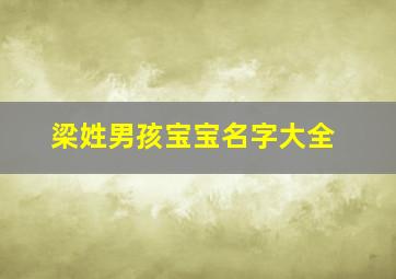 梁姓男孩宝宝名字大全