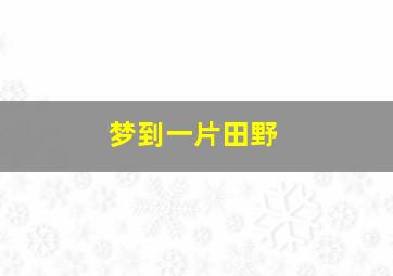 梦到一片田野