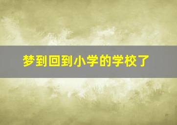 梦到回到小学的学校了