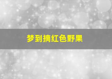 梦到摘红色野果