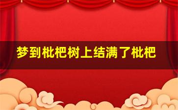 梦到枇杷树上结满了枇杷