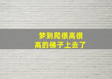 梦到爬很高很高的梯子上去了