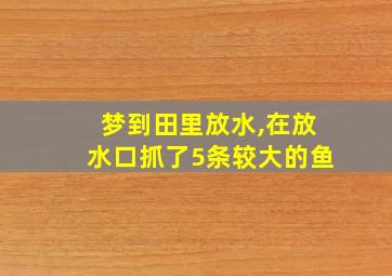 梦到田里放水,在放水口抓了5条较大的鱼