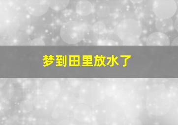 梦到田里放水了