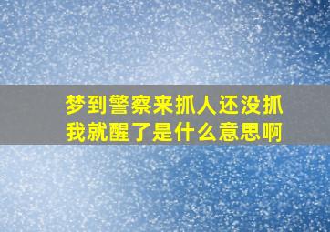 梦到警察来抓人还没抓我就醒了是什么意思啊