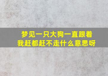 梦见一只大狗一直跟着我赶都赶不走什么意思呀