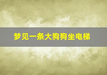 梦见一条大狗狗坐电梯