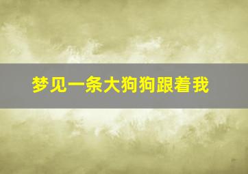 梦见一条大狗狗跟着我