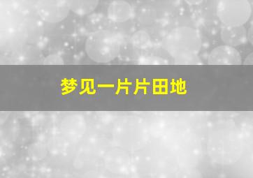 梦见一片片田地