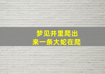 梦见井里爬出来一条大蛇在爬