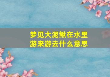 梦见大泥鳅在水里游来游去什么意思