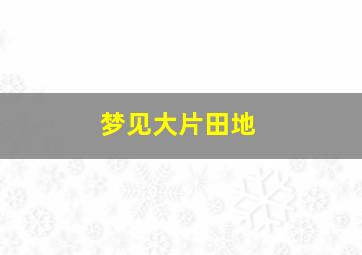 梦见大片田地