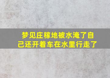 梦见庄稼地被水淹了自己还开着车在水里行走了