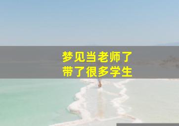 梦见当老师了带了很多学生