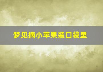 梦见摘小苹果装口袋里