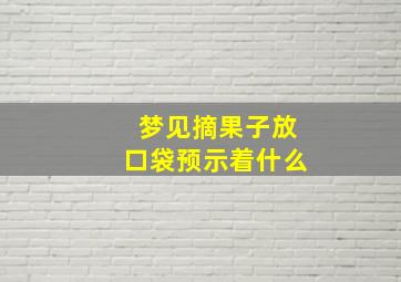 梦见摘果子放口袋预示着什么